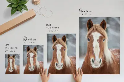 Wandposter paardenportret in winterse sfeer met een natuurlijke en harmonieuze uitstraling