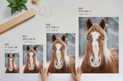 Wandposter Paardenportret winter rust natuurlijkheid harmonie
