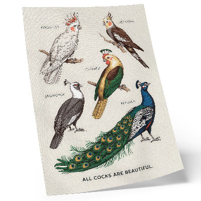 Poster Elegante vogels, veren, diverse kleuren