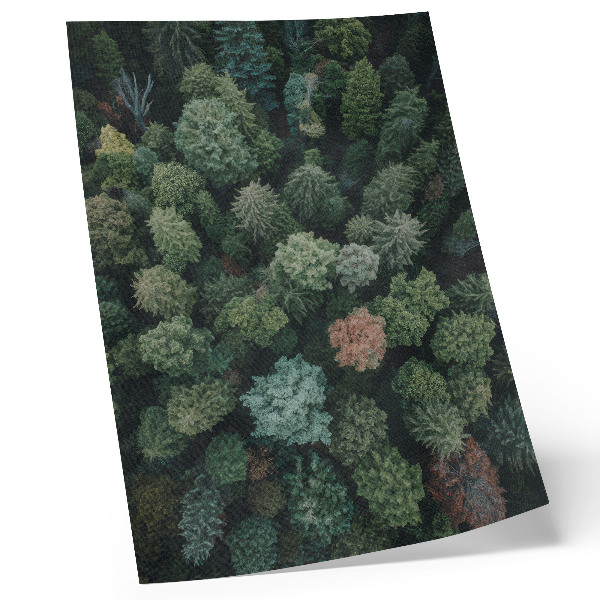 Decoratieve poster Boslandschap van bovenaf gezien met verschillende bladkleuren