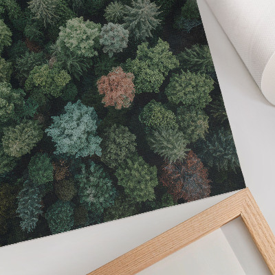 Decoratieve poster Boslandschap van bovenaf gezien met verschillende bladkleuren
