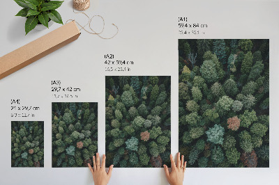 Decoratieve poster Boslandschap van bovenaf gezien met verschillende bladkleuren