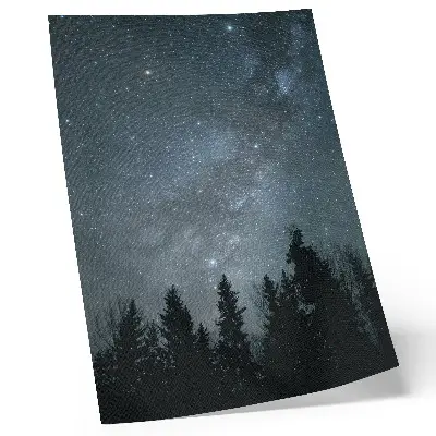 Poster met een nachtelijke hemel vol sterren en boom-silhouetten