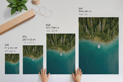 Decoratieve poster Bosmeer brug groen blauw klimaat