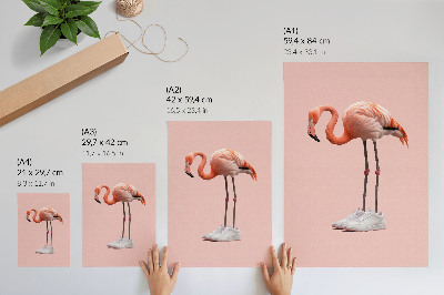 Decoratieve poster Flamingo roze sportschoenen met roze achtergrond