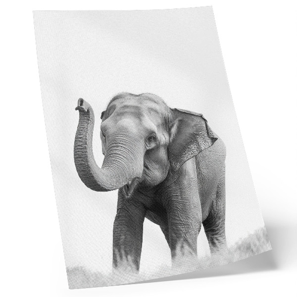 Wandposter Monochroom olifant met opgeheven slurf