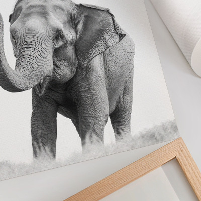 Wandposter Monochroom olifant met opgeheven slurf