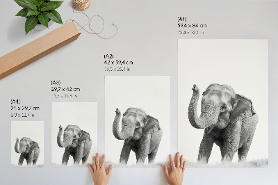 Wandposter Monochroom olifant met opgeheven slurf