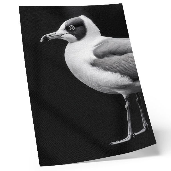 Decoratieve poster Minimalistische stijl met contrast tussen zwart en wit en een vogel.
