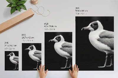 Decoratieve poster Minimalistische stijl met contrast tussen zwart en wit en een vogel.