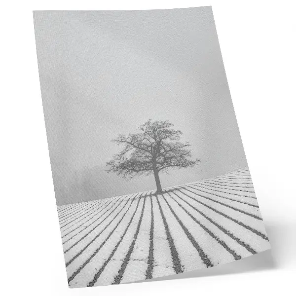 Wandposter boom in de sneeuw met een minimalistisch winterlandschap