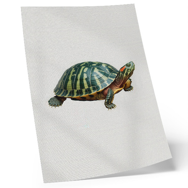 Poster Groene schildpad met details die harmonie met de natuur uitstralen