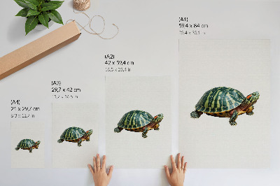 Poster Groene schildpad met details die harmonie met de natuur uitstralen
