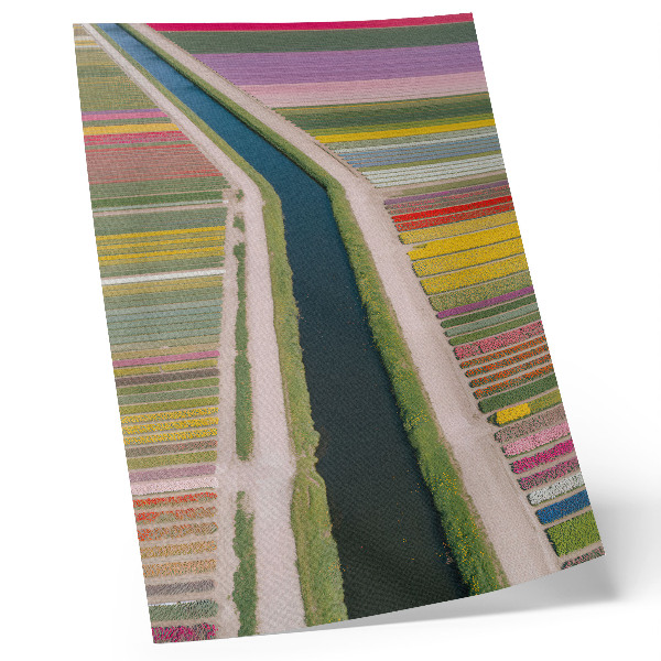 Wandposter Kleurrijke stroken bloemen langs het kanaal