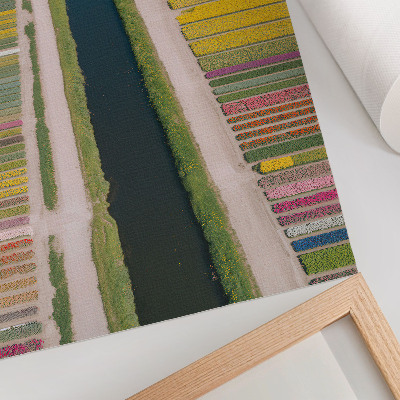 Wandposter Kleurrijke stroken bloemen langs het kanaal