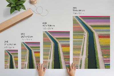 Wandposter Kleurrijke stroken bloemen langs het kanaal