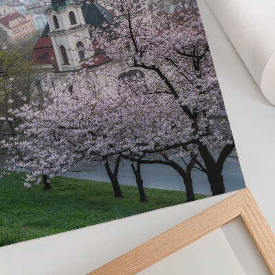 Decoratieve poster De stad is in de lente vol bloeiende bomen en kerktorens.