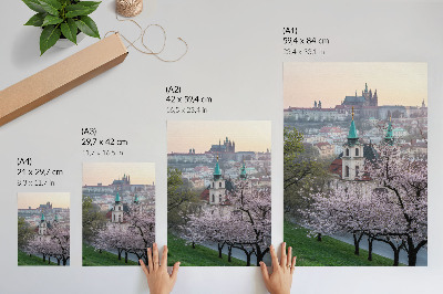 Decoratieve poster De stad is in de lente vol bloeiende bomen en kerktorens.