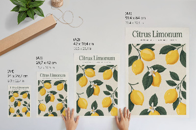 Poster Sappige citroenen, groene bladeren, crèmekleurige achtergrond