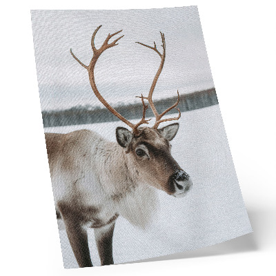 Decoratieve poster Rendieren in een winterlandschap met beige vacht