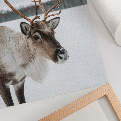 Decoratieve poster Rendieren in een winterlandschap met beige vacht