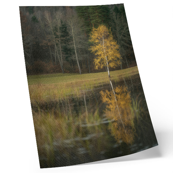 Wandposter Een gouden boom tegen de achtergrond van een donker bos en een meer.