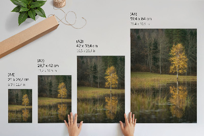 Wandposter Een gouden boom tegen de achtergrond van een donker bos en een meer.