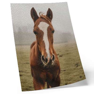 Decoratieve poster Warme bruine tinten en witte paarden in perspectief