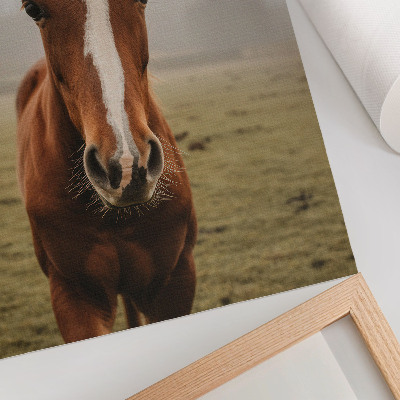 Decoratieve poster Warme bruine tinten en witte paarden in perspectief
