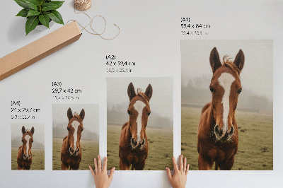 Decoratieve poster Warme bruine tinten en witte paarden in perspectief
