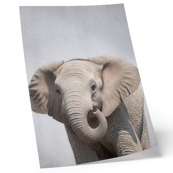 Wandposter Een jonge olifant op een lichte achtergrond