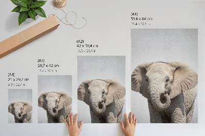 Wandposter Een jonge olifant op een lichte achtergrond