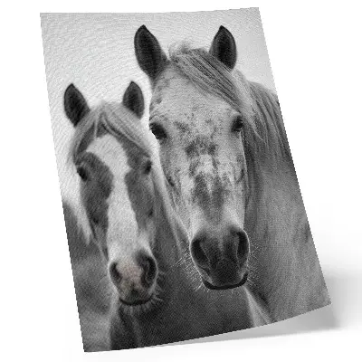 Poster paarden in een elegante zwart-witfoto