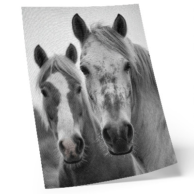 Poster Paarden in een monochrome foto vol elegantie.
