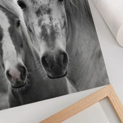 Poster paarden in een elegante zwart-witfoto