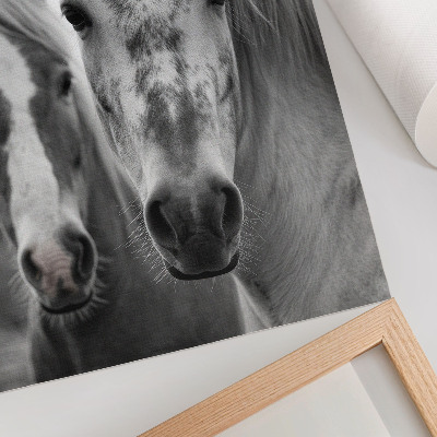 Poster Paarden in een monochrome foto vol elegantie.