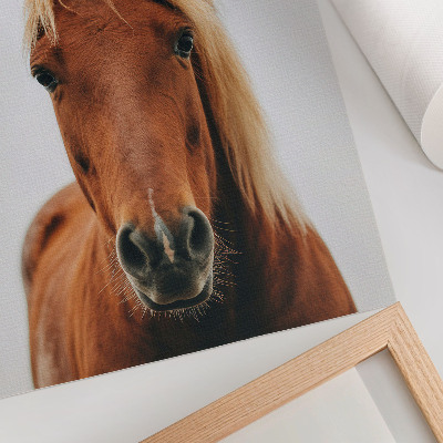Decoratieve poster Paardenportret minimalisme natuurlijke schoonheid elegantie
