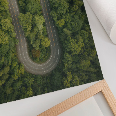 Decoratieve poster Een smalle, kronkelende weg door het groene bos.