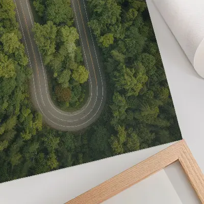 Decoratieve poster met een smalle, kronkelende weg door het groene bos