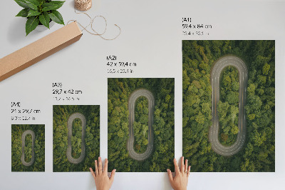 Decoratieve poster Een smalle, kronkelende weg door het groene bos.