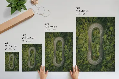 Decoratieve poster met een smalle, kronkelende weg door het groene bos