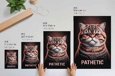 Wandposter Portret van een kat met een opvallende vacht en een intense blik.
