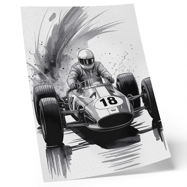 Poster Autodynamiek in contrast met racen