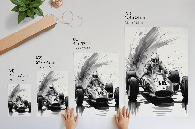 Poster Autodynamiek in contrast met racen