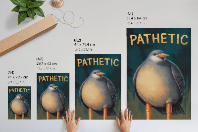 Wandposter Grappige vogel met ongebruikelijke kleuren en een turquoise achtergrond.