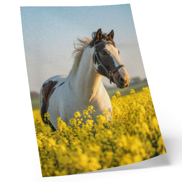 Poster Een elegant paard in een lenteveld vol bloemen.