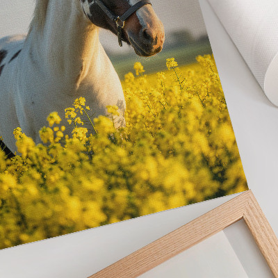 Poster Een elegant paard in een lenteveld vol bloemen.
