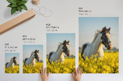 Poster Een elegant paard in een lenteveld vol bloemen.