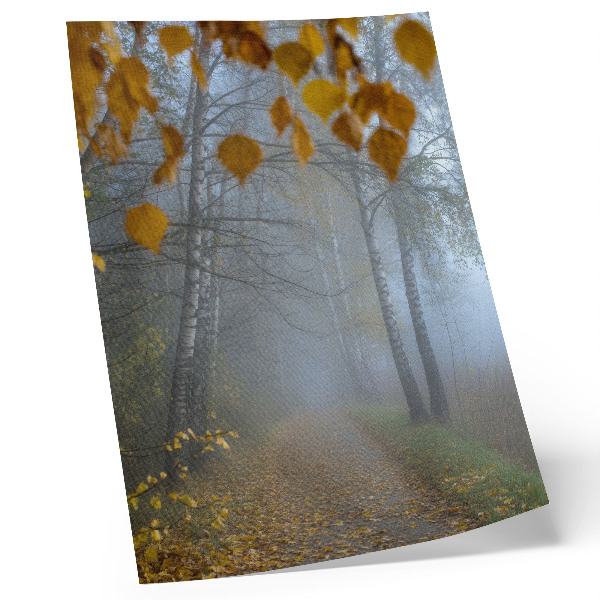 Decoratieve poster Mistig herfstbos, berkenbomen, gele bladeren