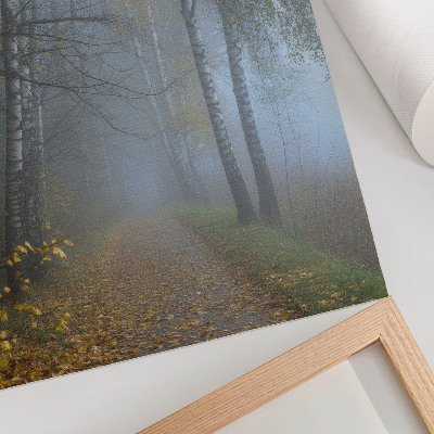 Decoratieve poster Mistig herfstbos, berkenbomen, gele bladeren
